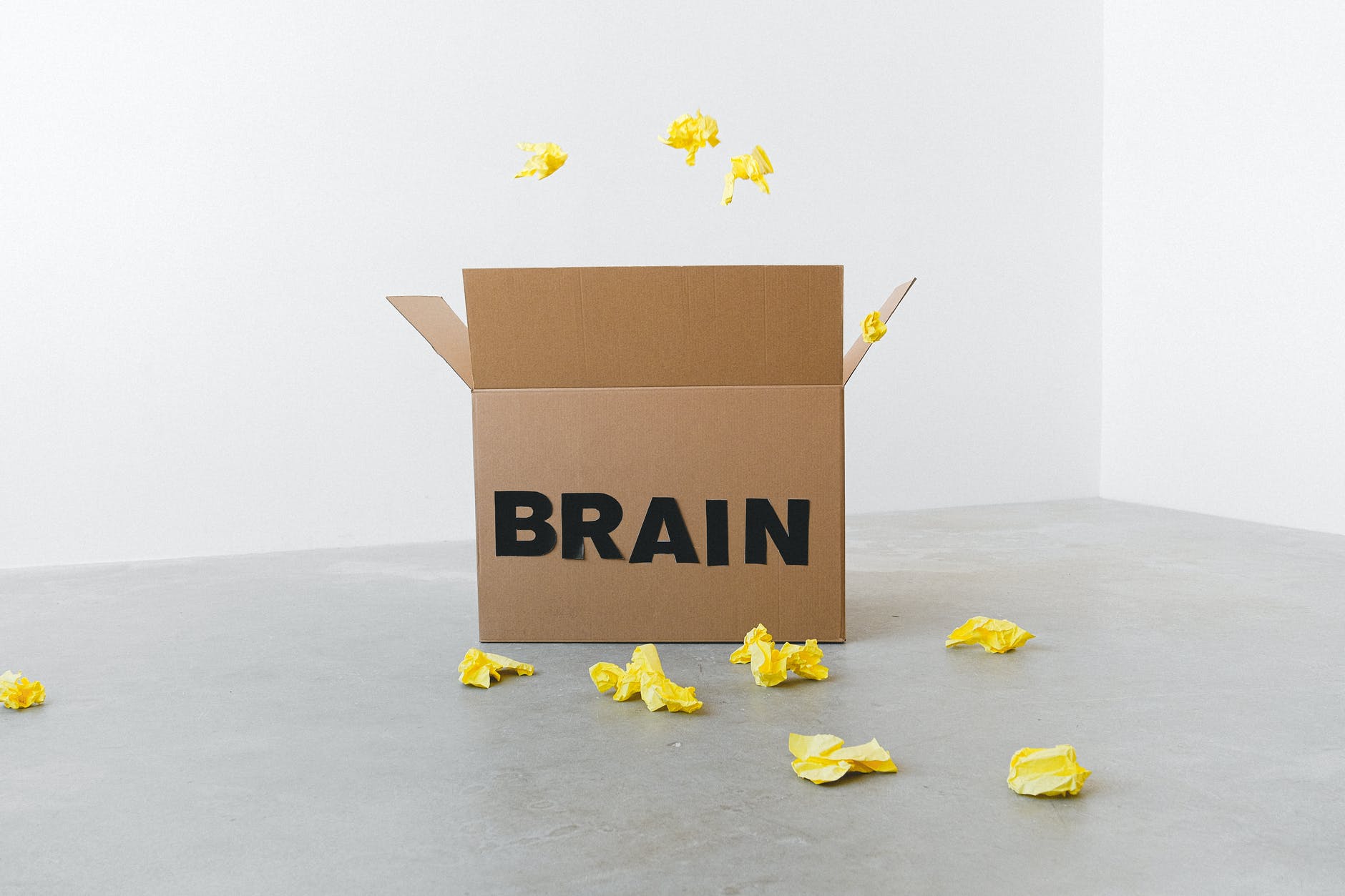 brain inscription on cardboard box under flying paper pieces