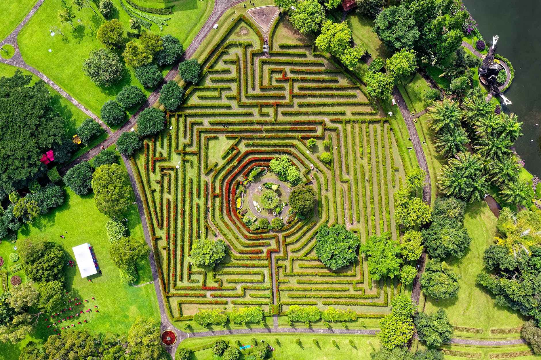 aerial shot of maze