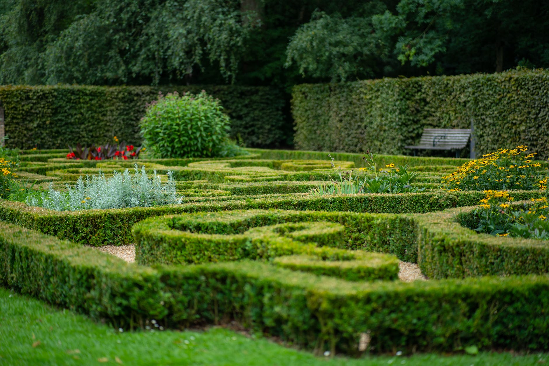 view of a hedge maze
