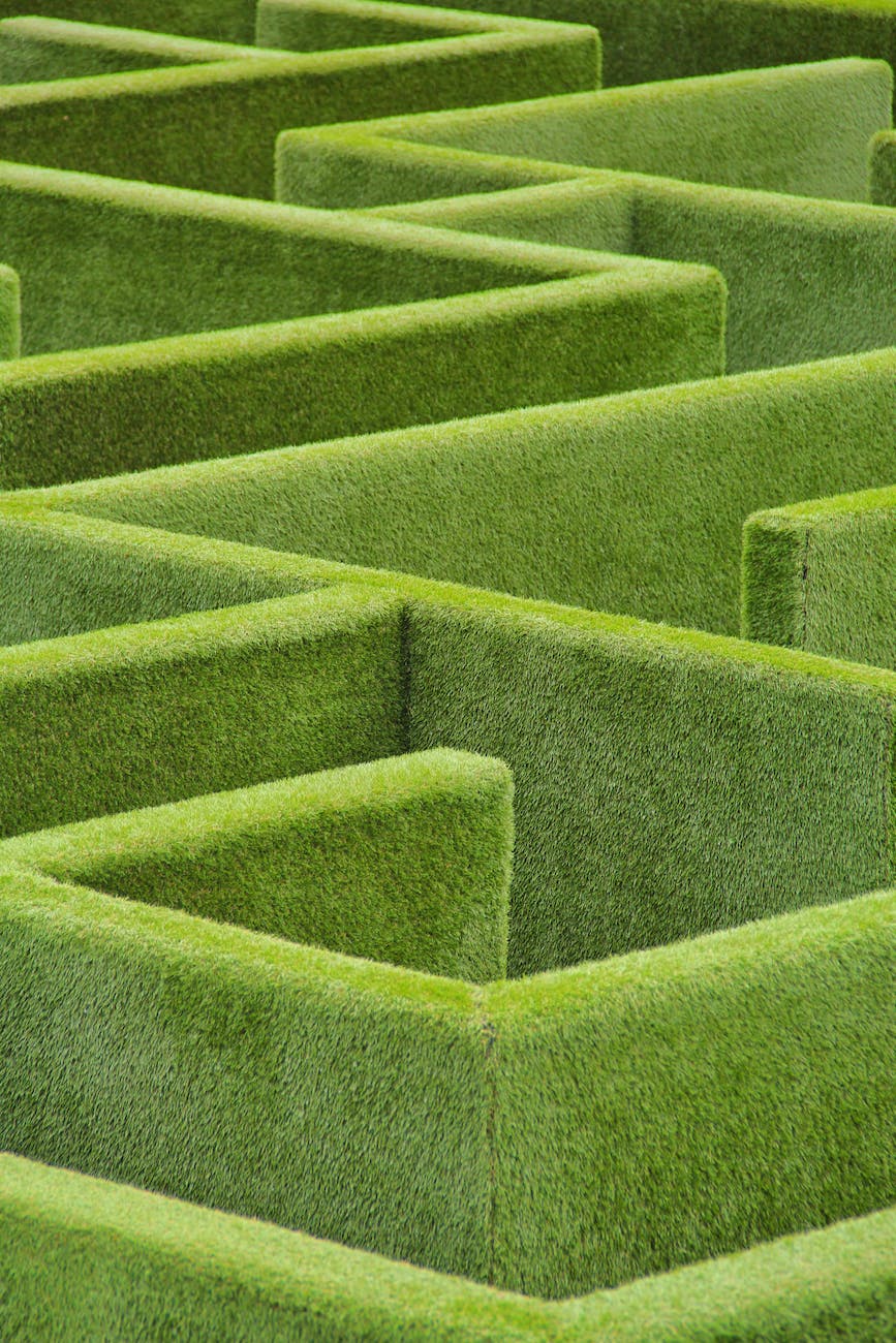 maze out of hedge