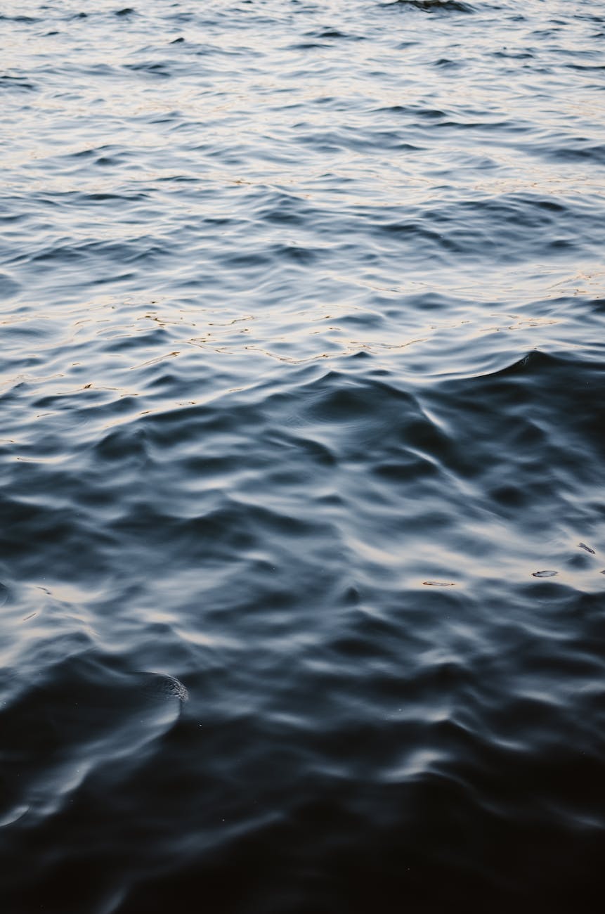 close up photo of body of water